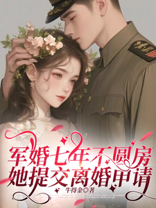 軍婚七年不圓房,她提交離婚申請