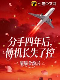 重逢後傅機長失控