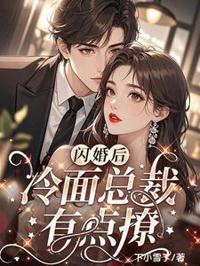 闪婚后，冷面总裁藏不住了