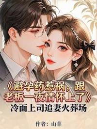 避孕药失效,一夜情后怀了老板的崽