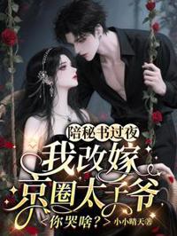 改嫁太子爷后前夫疯了