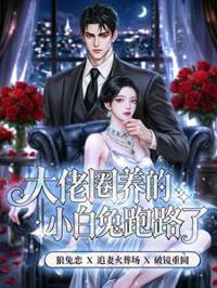 替身娇妻带球跑