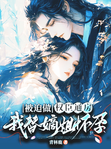 替姐承欢孕子逃