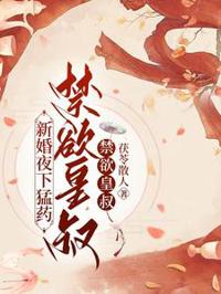 新婚夜下猛藥,禁欲皇叔日日淪陷