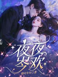 夜夜岑歡