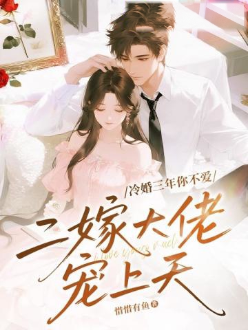 冷婚三年你不愛,二嫁大佬寵上天