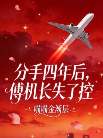分手四年後，傅機長失了控