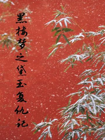 黑樓夢之黛玉復仇記