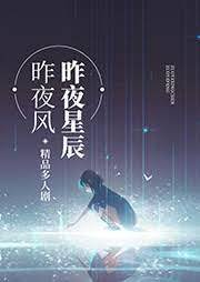 昨夜風吻星辰