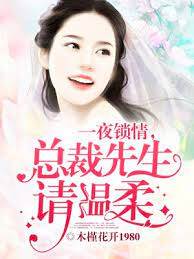 一夜錯惹總裁