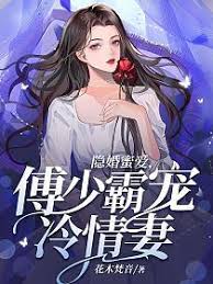 傅少隱婚冷妻