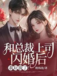 閃婚總裁後失控