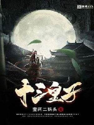 十三皇子