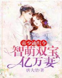 帝少追妻双宝萌