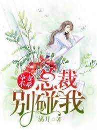 孕妻攜寶歸來