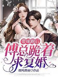 藏孕離婚後傅總悔瘋了