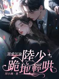 陸少跪哄沉淪