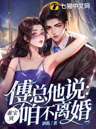 傅總不肯離婚