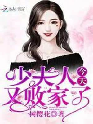 少奶奶又败家