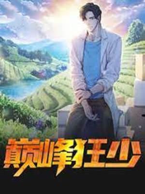巔峰狂少
