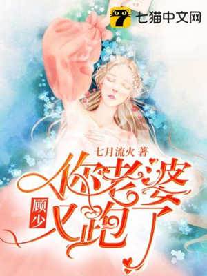 顧少夫人又逃了