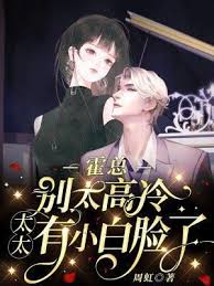 霍總太太要離婚