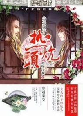 夫夫暖炕小日子