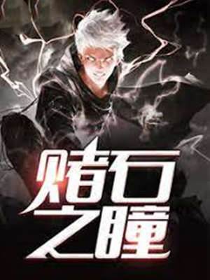 賭石之瞳