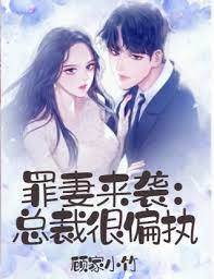總裁的罪妻