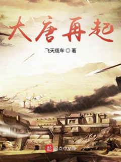 大唐再起
