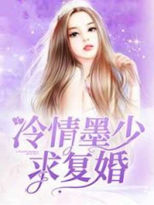 墨少追妻求複婚