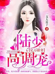 陸少寵妻成癮