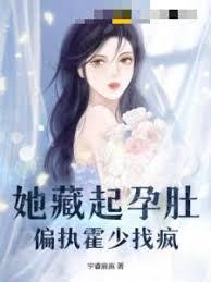 藏孕离婚后霍少疯了