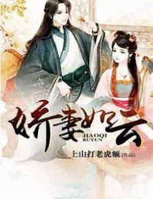 嬌妻如雲