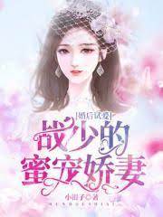 戰少霸寵嬌妻