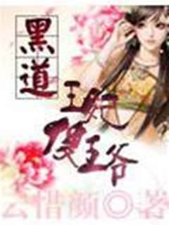 黑道王妃傻王爺