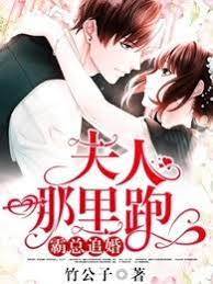 霸总追妻不放手