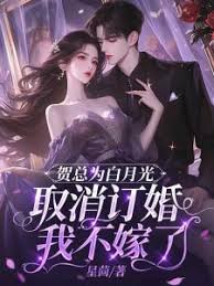賀總悔婚我轉身嫁