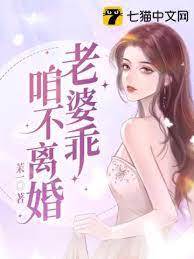 沈總別離婚