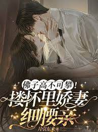 佛子折腰哄娇妻