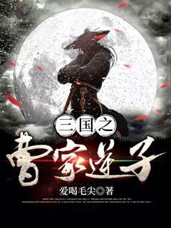 三國之曹家逆子