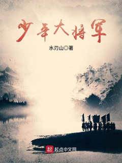 少年大將軍