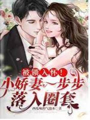 嬌妻陷入懷