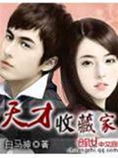 天才收藏家