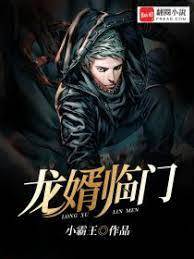 龍婿臨門（林飛陳子怡）