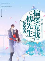 傅先生偏宠前妻