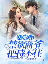 閃婚後商爺失控