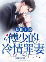 傅少囚爱罪妻