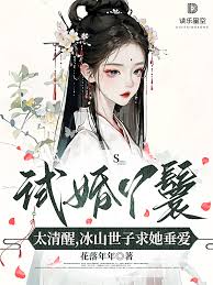 試婚丫鬟