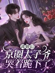 離婚后太子爺跪了